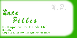 mate pillis business card